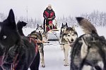 Winter Wonderland Ruka