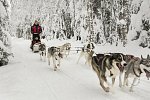 Winter Wonderland Ruka