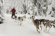 Winter Wonderland Ruka