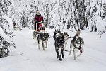 Winter Wonderland Ruka