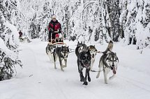 Winter Wonderland Ruka