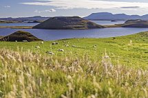 Island mit Flair - Myvatn