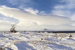 Island mit Flair - Polarlicht, Golden Circle und charmante Hotels