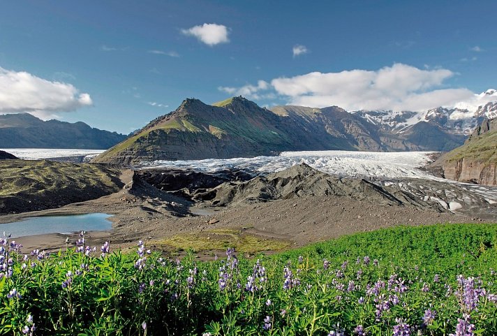 Islands Highlights - Skaftafell Nationalpark