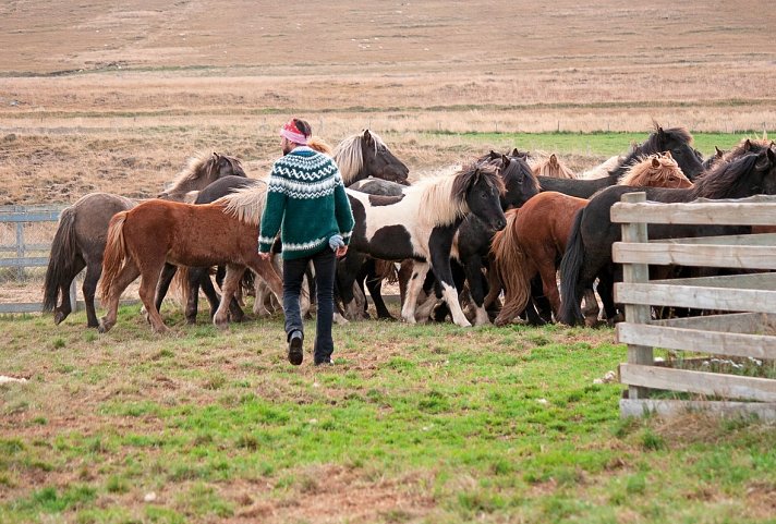 Island - Land und Leute