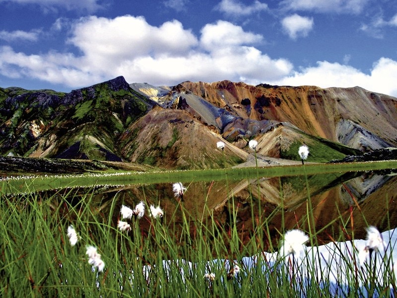 Island intensiv