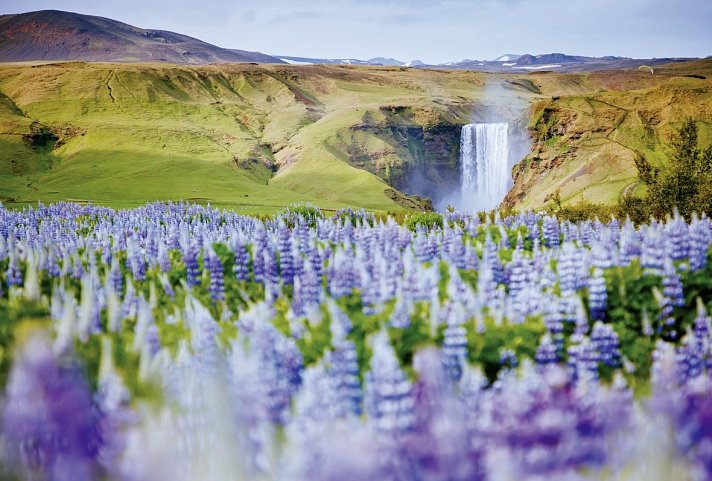 Perlen der Südküste - Skogafoss