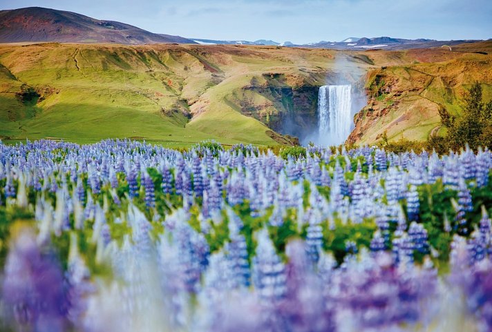 Perlen der Südküste - Skogafoss