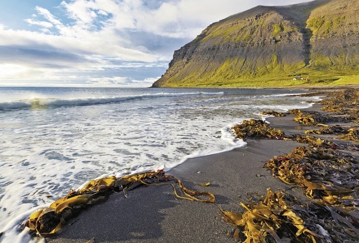 Rund um Island - Von den Westfjorden bis zur Gletscherlagune - In den Westfjorden