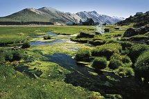 Panoramarundreise Island - Landmannalaugar