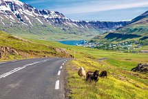 Familienspaß auf Farmen