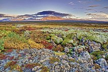 Ferienhausrundreise Rund um Island - Nationalpark Thingvellir