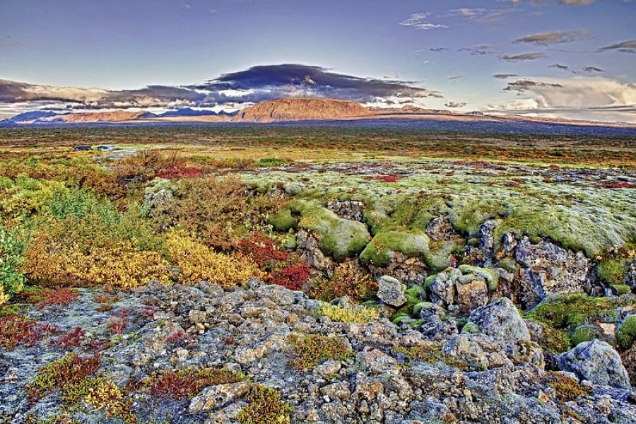 Ferienhausrundreise Rund um Island - Nationalpark Thingvellir