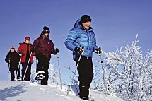 Winterlich aktiv in Schwedisch Lappland