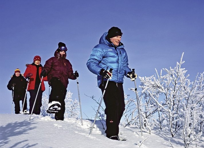 Winterlich aktiv in Schwedisch Lappland