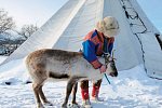 Winterlich aktiv in Schwedisch Lappland