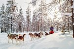 Winterlich aktiv in Schwedisch Lappland