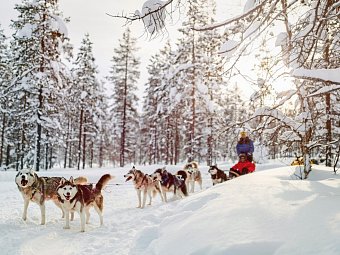 Winterlich aktiv in Schwedisch Lappland