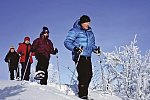 Winterlich aktiv in Schwedisch Lappland