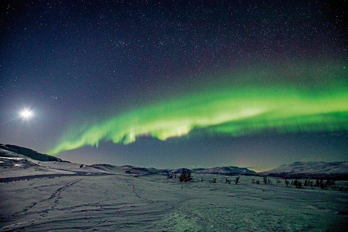Abisko & ICEHOTEL - Das pure Nordlichtabenteuer