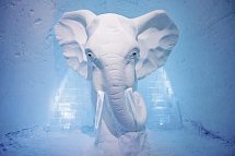 Perlen unter dem Polarlicht - ICEHOTEL