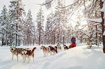 Winterlich aktiv in Schwedisch Lappland