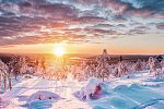 Winterlich aktiv in Schwedisch Lappland
