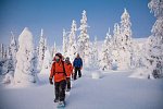 Harriniva - Authentisches Lappland
