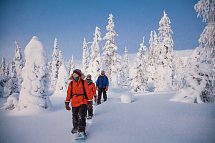 Harriniva - Authentisches Lappland
