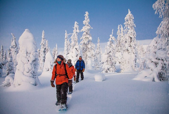 Harriniva - Authentisches Lappland
