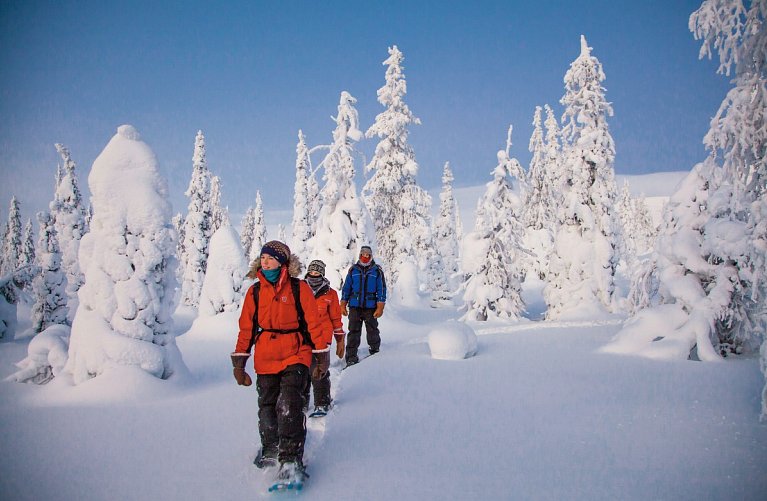 Harriniva - Authentisches Lappland