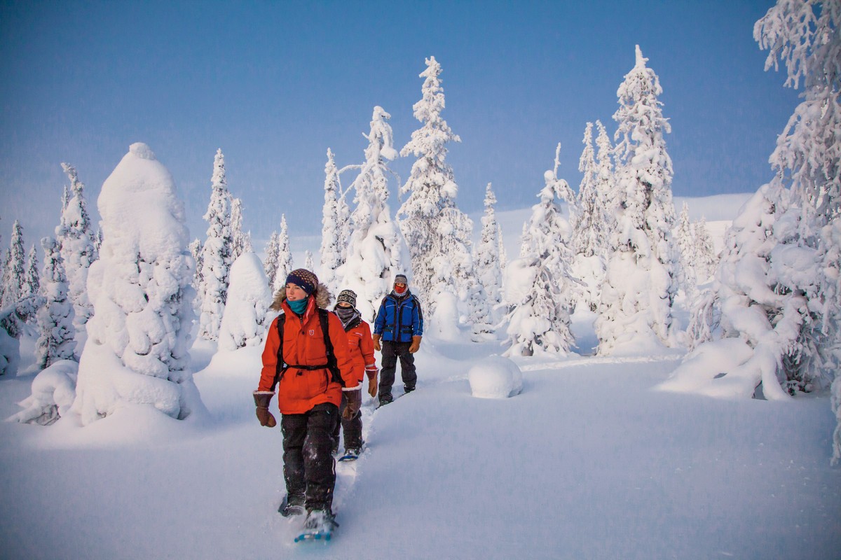 Harriniva - Authentisches Lappland