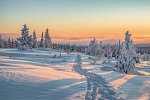 Harriniva - Authentisches Lappland