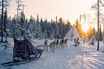 Harriniva - Authentisches Lappland