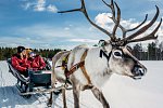 Harriniva - Authentisches Lappland