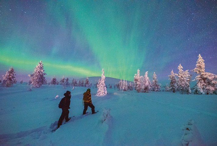 Harriniva - Authentisches Lappland