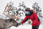 Harriniva - Authentisches Lappland
