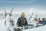 Harriniva - Authentisches Lappland