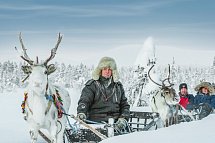 Harriniva - Authentisches Lappland