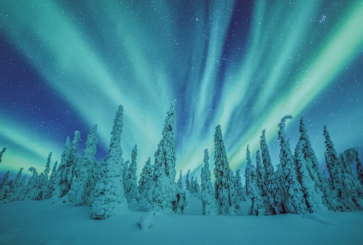 Harriniva - Winterurlaub in Lappland