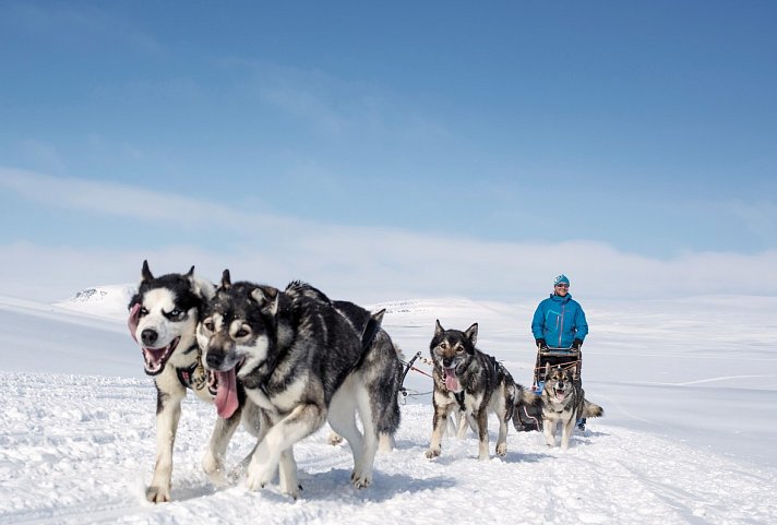 Harriniva - Winterurlaub in Lappland