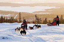 Harriniva Arctic Deluxe