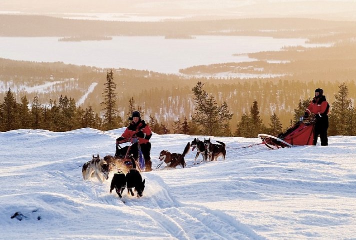 Harriniva Arctic Deluxe