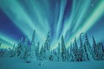 Harriniva Arctic Deluxe