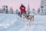 Harriniva Arctic Deluxe