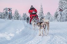 Harriniva Arctic Deluxe