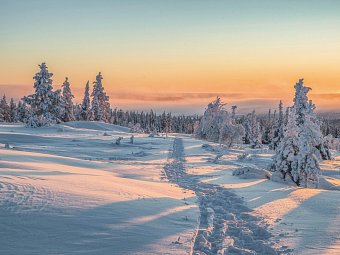 Harriniva Arctic Deluxe
