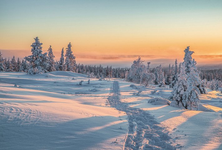 Harriniva Arctic Deluxe