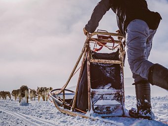 Harriniva Arctic Deluxe
