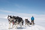 Harriniva Arctic Deluxe